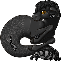 Pet image