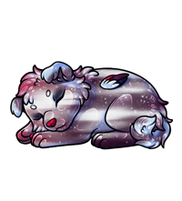 Pet image