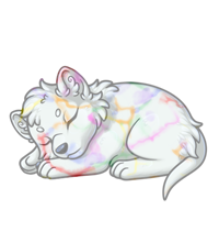 Pet image