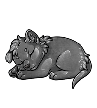 Pet image