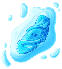 Pet image