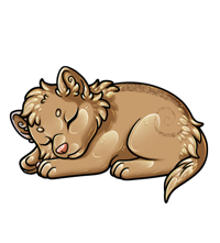 Pet image