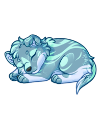 Pet image