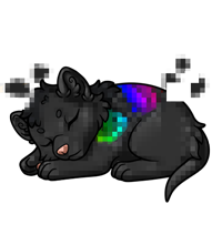 Pet image