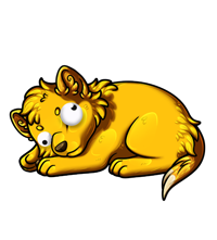 Pet image