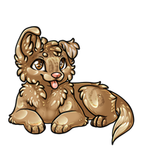 Pet image