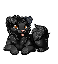 Pet image