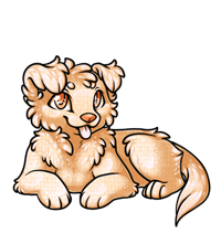 Pet image