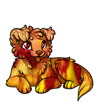 Pet image