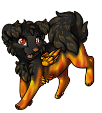 Pet image