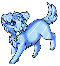 Pet image