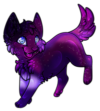 Pet image