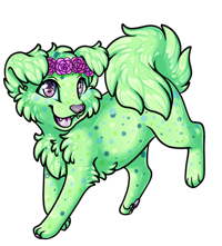 Pet image