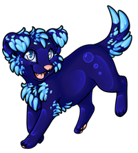 Pet image