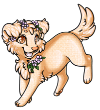 Pet image