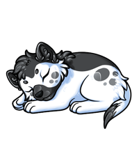 Pet image