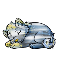 Pet image