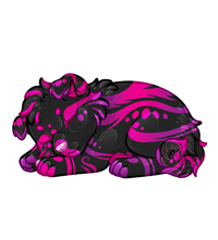 Pet image