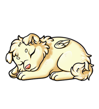 Pet image
