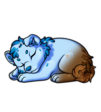 Pet image