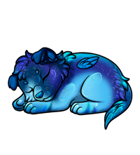 Pet image