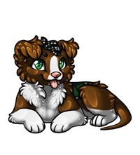 Pet image