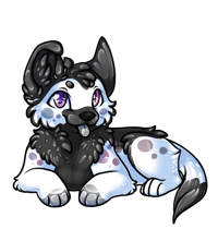 Pet image