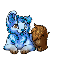 Pet image
