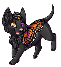 Pet image