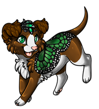 Pet image
