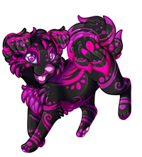 Pet image