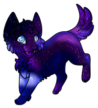 Pet image