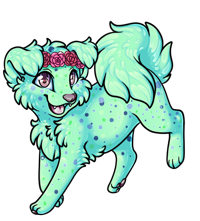 Pet image