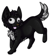 Pet image