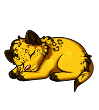 Pet image