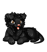 Pet image