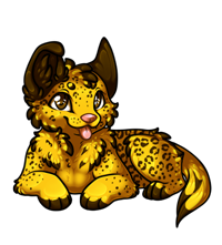 Pet image