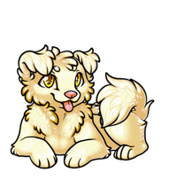 Pet image