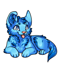 Pet image