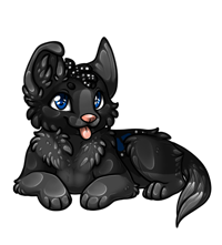 Pet image