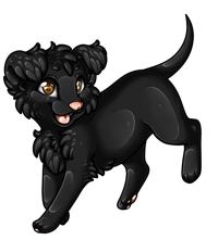 Pet image