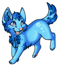 Pet image