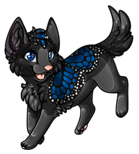 Pet image