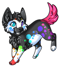 Pet image