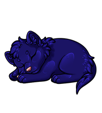 Pet image