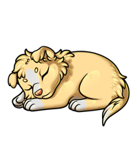 Pet image