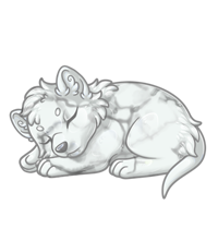 Pet image