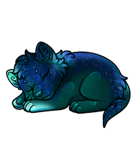 Pet image