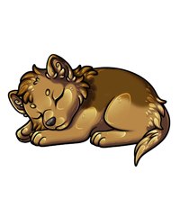 Pet image