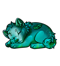 Pet image